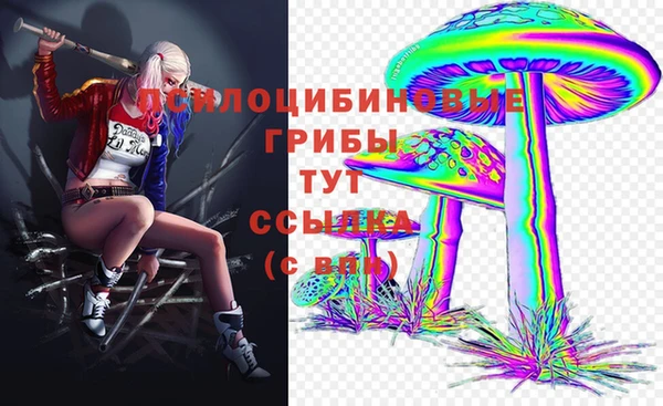 стафф Балахна