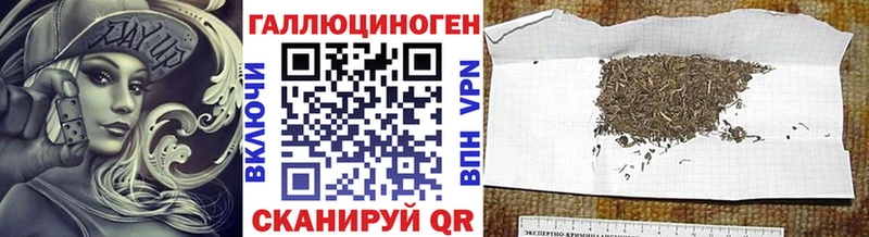 Псилоцибиновые грибы GOLDEN TEACHER  Купить закладки  Гремячинск 